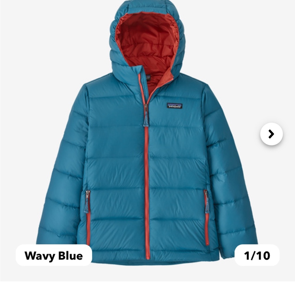 Patagonia puffer